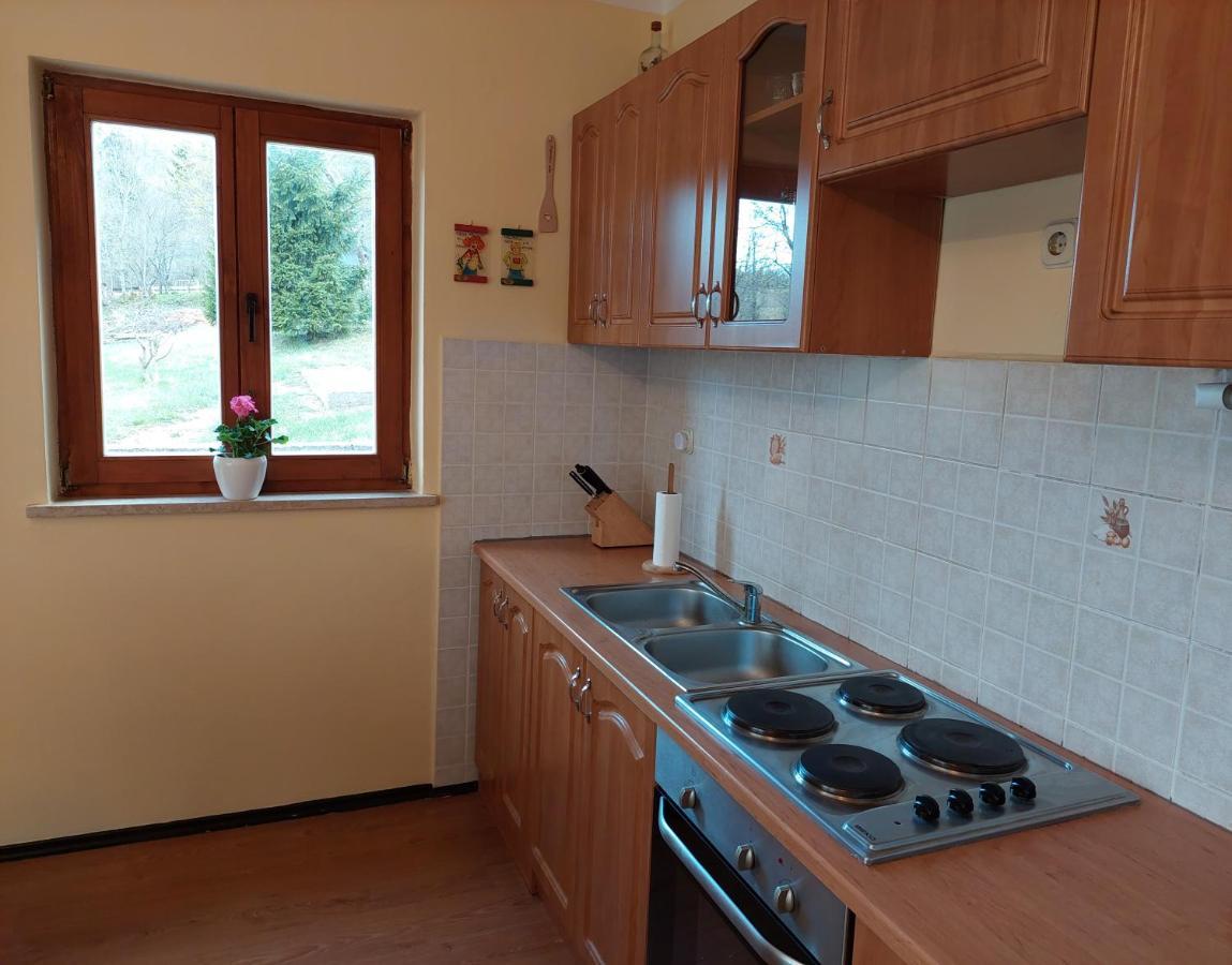 Holiday Home Cancarevic 라브나 고라 외부 사진